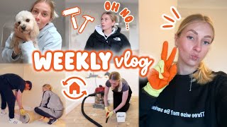 Making a huge house mistake & feeling overwhelmed 😩 WEEKLY VLOG by Fabulous Hannah 14,188 views 5 months ago 28 minutes