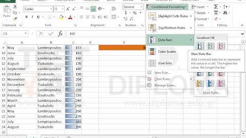 In cell range C5:C24, apply conditional formatting, with gradient filled, blue data bars.