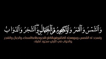 ألم تر أن الله يسجد له من في السماوات ومن في الأرض | كروما قران سورة الحج بصوت خاشع من القلب للقلب