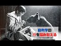 第75回動物学の枠を踏み越える