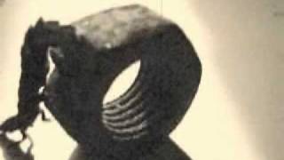 ASESINA: LARVA DE LUCIERNAGA