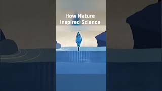 How Nature Inspires Science 🌿⚡ | Nature’s Genius Explained