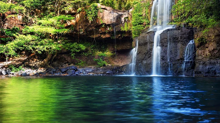 Relaxing Music with Birds Singing - Beautiful Piano Music & Guitar Music by Soothing Relaxation