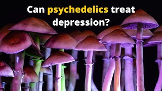 Can psychedelics treat depression