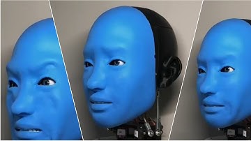 Robot that can mimic your facial expression