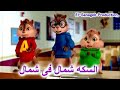 اغنيه السكة شمال في شمال السنجاب