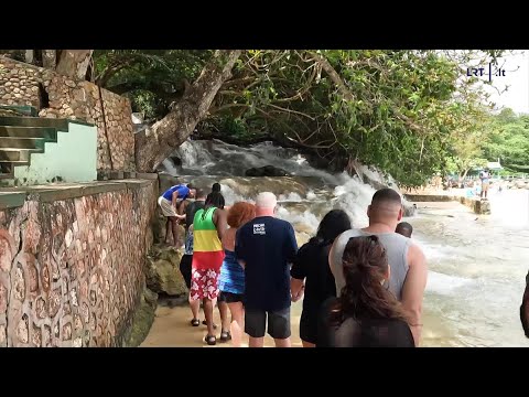 Video: Geriausias laikas aplankyti Jamaiką