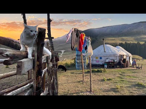 Life in the Mountains of Kazakhstan. A day with Kazakh nomads
