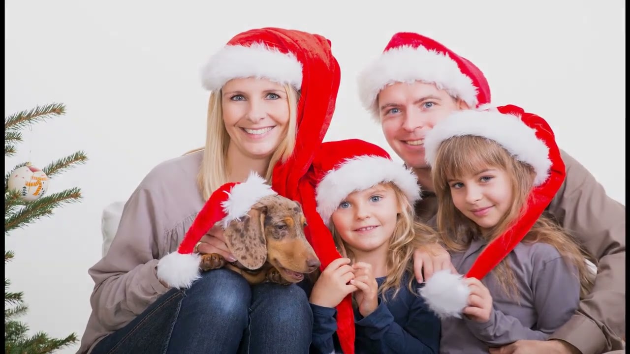 Holiday pet adoption campaign runs until Christmas Day