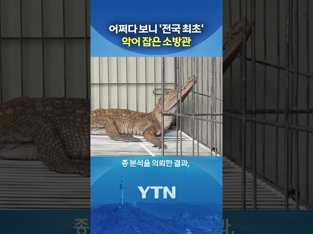 "두 눈을 의심했다" #shorts / YTN
