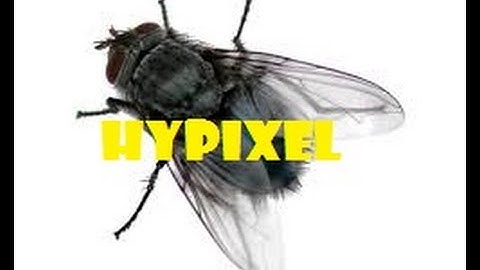 how to fly in hypixel lobby without rank or hack client