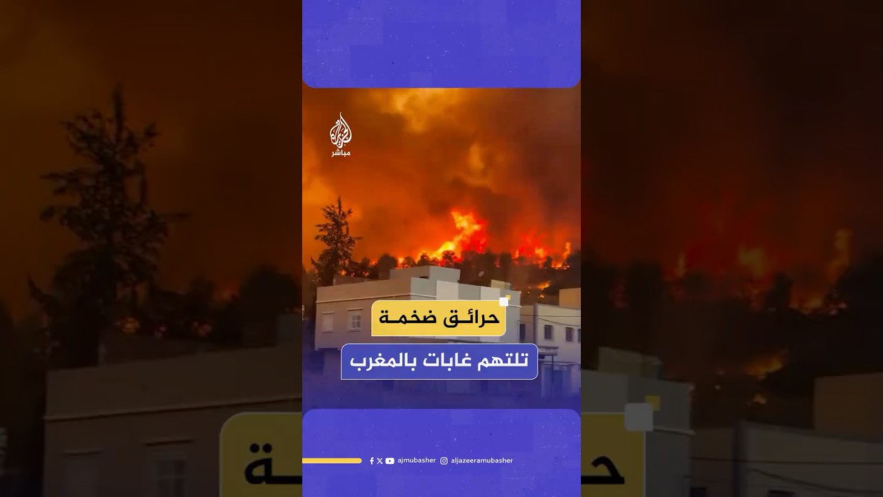 دمرت مساحات واسعة.. حرائق ضخمة تلتهم غابات بإقليم شفشاون شمالي المغرب