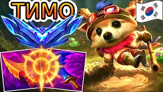 видео: 🐹🍄КТО ГЛАВНЫЙ НА ТОПЕ? СУРОВАЯ БИТВА ЙОРДЛОВ! ◾ Обзор игры Тимо vs Клед ◾He гайд на Тимо Лига Легенд картинка: 🐹🍄КТО ГЛАВНЫЙ НА ТОПЕ? СУРОВАЯ БИТВА ЙОРДЛОВ! ◾ Обзор игры Тимо vs Клед ◾He гайд на Тимо Лига Легенд