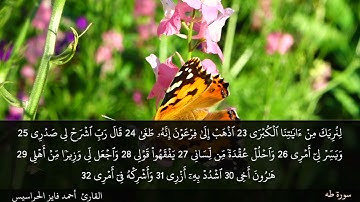 الصفحة 313 سورة طه بصوت القارئ المهندس أحمد فايز الحراسيس