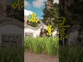 Master Ancient Garden Landscaping: A Timeless Art Unveiled