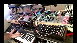 Bindubba sequencer, triple sloths, and the Polysix...Harmonic Heaven.