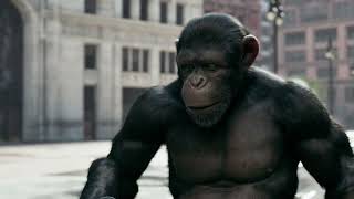 Ape closeup .Render time : 53 frames/ minute.