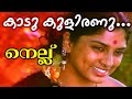Kadu Kulirannu... [ Kalyana Prayathil ] | Malayalam Movie | Nellu | Movie Song