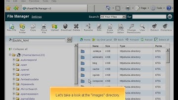 Using file manager