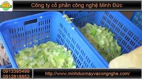 Máy rửa rau công nghiệp chính xác giá rẻ tiện dụng
