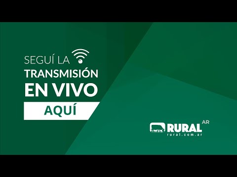 Vídeo: Publicados Los Resultados Finales De Las Subastas De Activos De 3DO