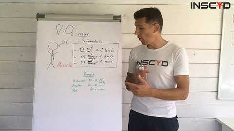 INSCYD the Numbers: VO2 Max