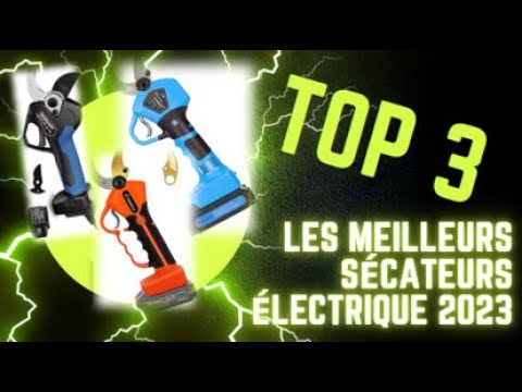 Meilleur Sécateur Électrique Sans Fil 2024 