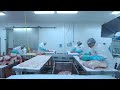 180VR Meat Cutting Training