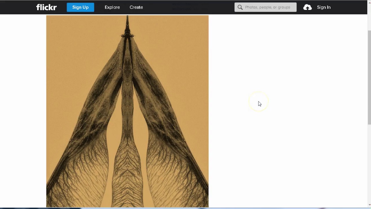 How to Download from Flickr YouTube