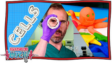 Learn About The CELLS In Your Body 🤯 |@OperationOuch | Science for Kids | @NuggetHub