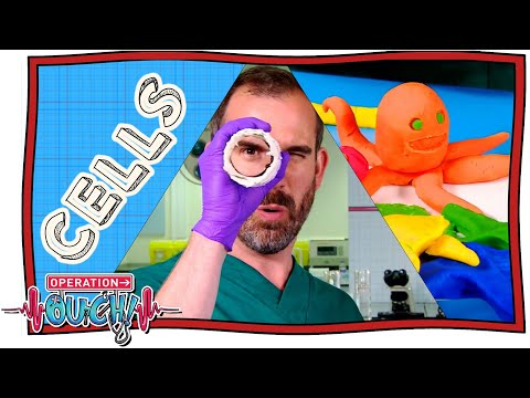 Learn About The CELLS In Your Body 🤯 |@OperationOuch | Science for Kids | @NuggetHub