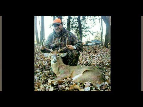 MUST WATCH rare footage of hunter stalking Buck