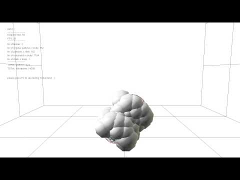 Narrow and Broad Collision Detection for Soft Bodies
