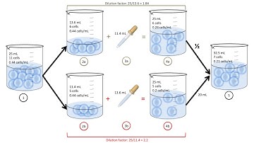 Dilution and Dilution Factor