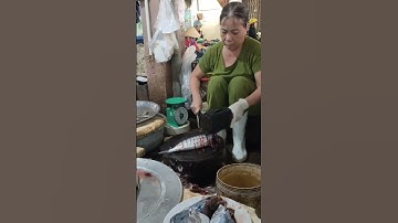 Đi chợ buổi trưa // mua thức ăn - cá tươi ngon trong chợ Bên ngự TP Huế - tronpiu vlog #shorts