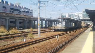 2019.4.20貨物列車3091レEF510-510(富山)元カシオペア機+EF64-1028(愛)国鉄色重連!!