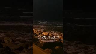 تدبر الآيات في الوصف⬇️ القارئ #عبدالرشيد_صوفي #قرآن #اكسبلور #القرآن_الكريم #ذكر #تلاوة #shorts screenshot 2