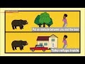 Reducing the Danger from Bear Encounters - BOSAI: Science that Can Save Your Life