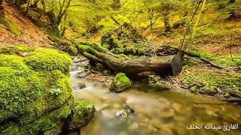 ٩٢-سورة الليل - بصوت القارئ عبدالله الخلف 1437