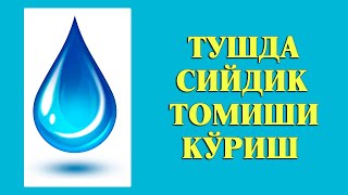 Туш табири - Тушда Сийдик томиши