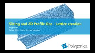 Slicing and 2D profile Operations - Lattice creation