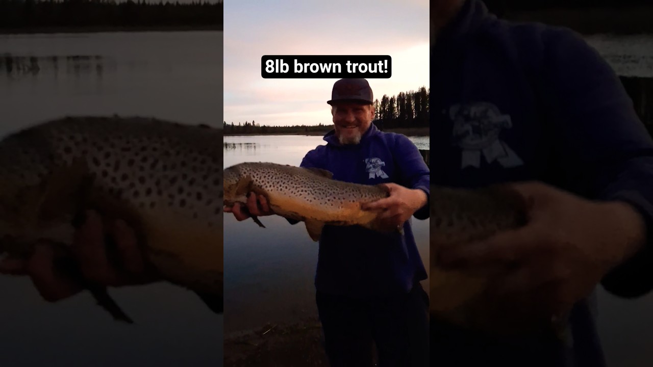 8-фунтовая форель! Вы когда-нибудь ловили форель такого размера?
