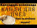 🍯 Канди для Пчёл. Как правильно!?