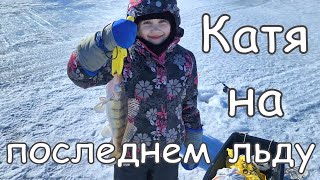 Ловим берша с Катей по последнему льду. by Shus Fishing 268 views 1 year ago 7 minutes, 36 seconds