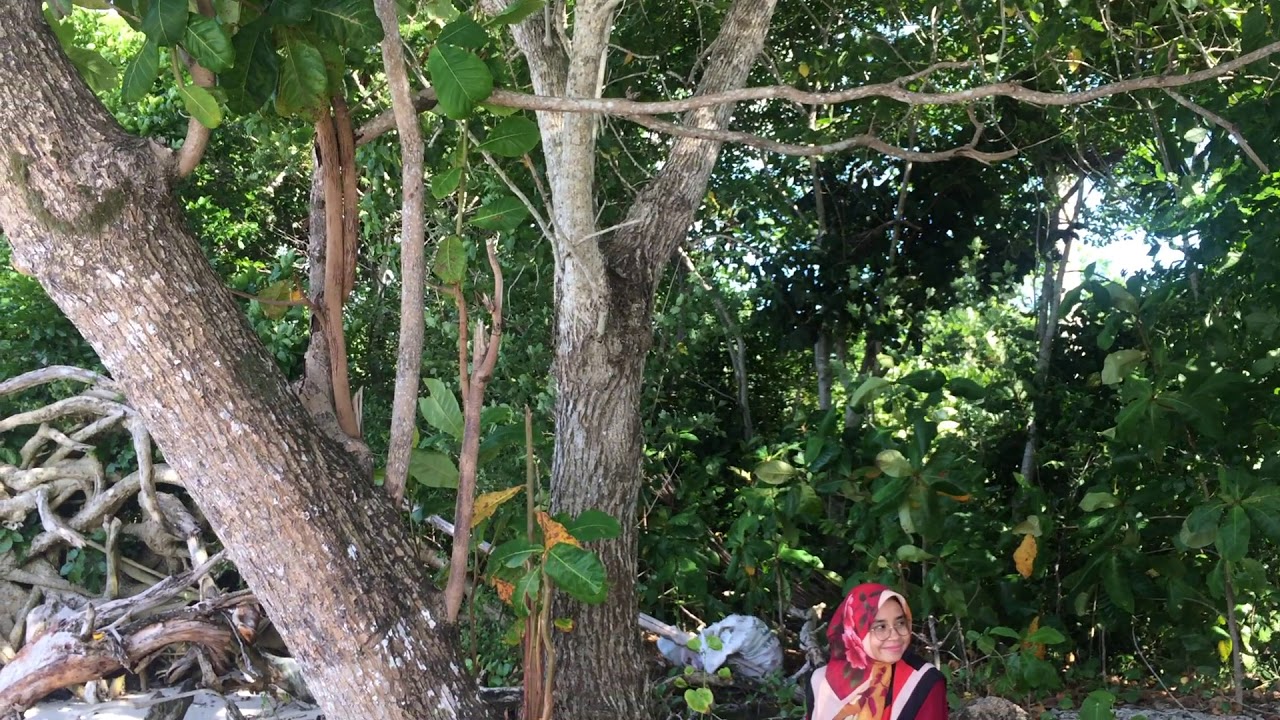 Panorama seulako Sabang