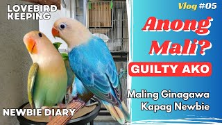 Alamin Mo Muna! | Mistakes In Lovebird Breeding w/ English-Sub | VLOG #05 | African Lovebird Keeping