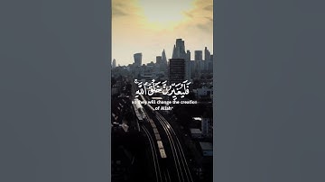 القارئ سعد الغامدي (تلاوة ما شاء الله)