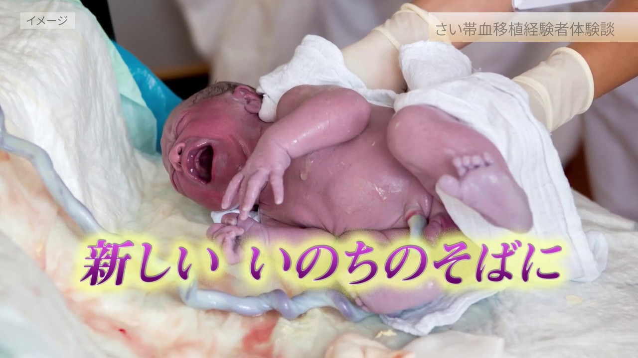 九州さい帯血バンク｜九州ブロック血液センター｜日本赤十字社