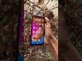 The Cheapest Smartphone Ever | Ulefone Note 7 #smartphone #trending