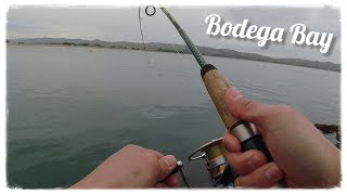 First Time Jetty Fishing EVER! Bodega Bay, CA